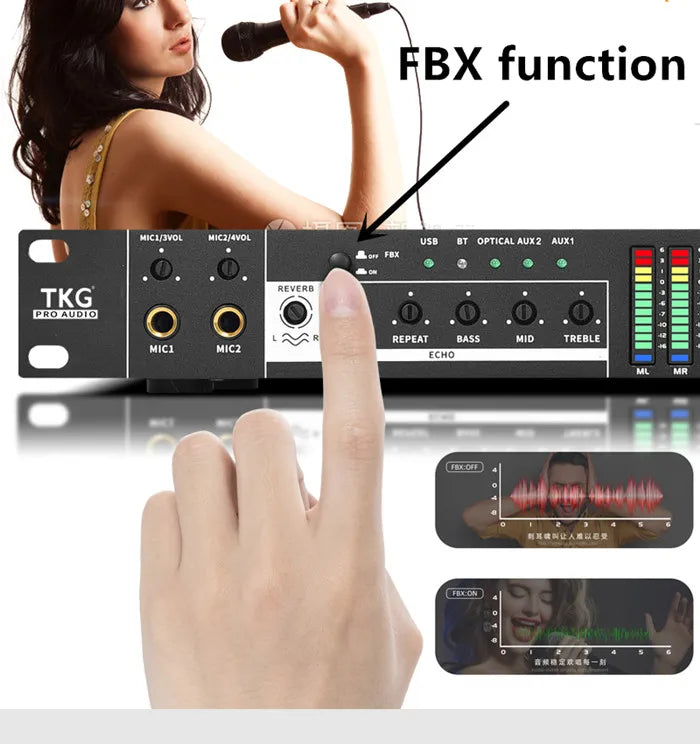 FX12 anti howling bluetooth USB function Stage professional effetor speaker dj sound system audio ktv karaoke processor