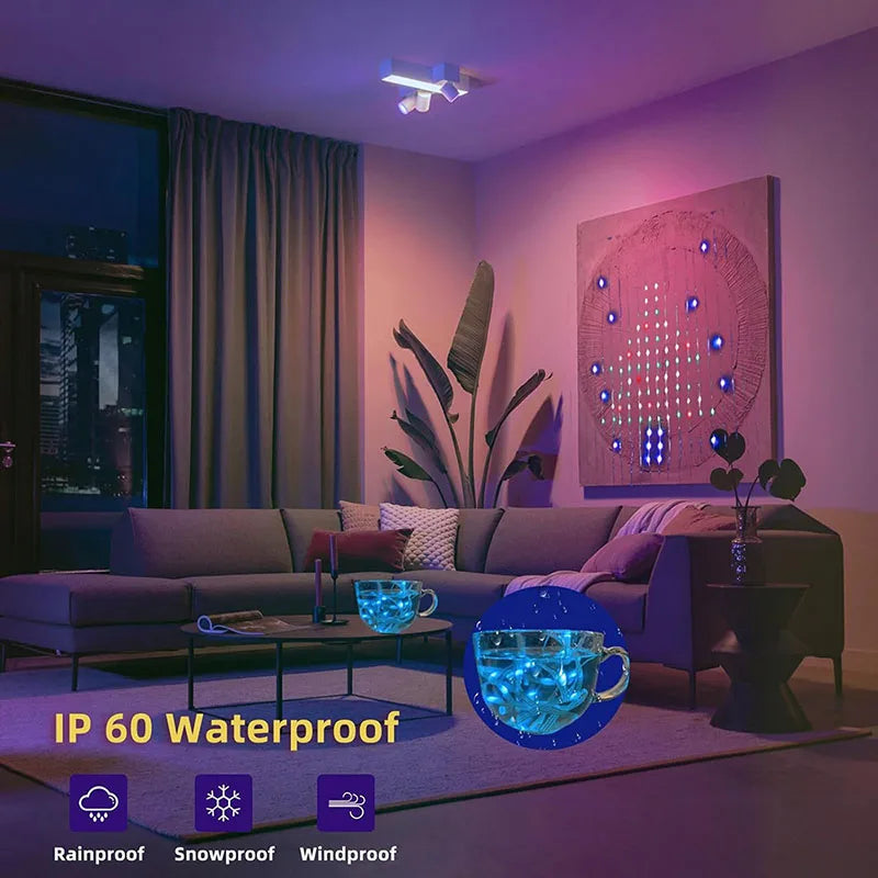 Dream Color Curtain Light RGB Dream color programmable smart LED Pebble String Light